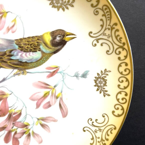 Set 2 Mitterteich Bavaria Germany 7.5" Decorative Bird Plates with Gold Accents - Picture 12 of 12